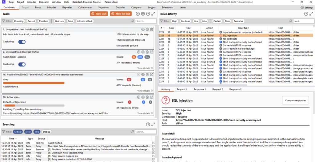 Web Application Vulnerability Scanning with Burp Suite - CyberThreya